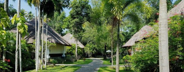 Carnoustie Ayurveda and Wellness Resort - Image 3