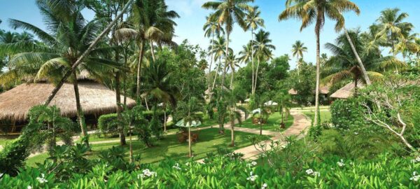 Carnoustie Ayurveda and Wellness Resort - Image 5