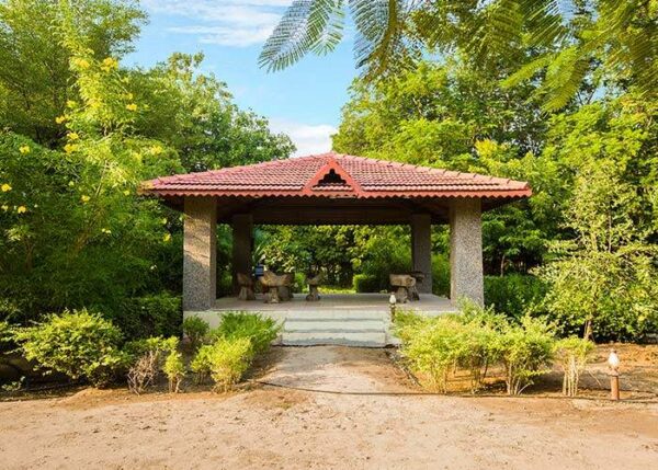 Nimba Naturecure - Image 7