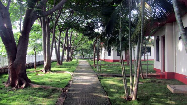 Tattvam In The Hills - Image 5