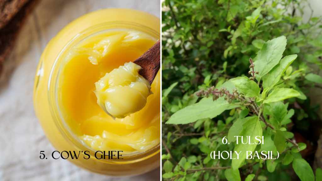 10 healthy food items according to Ayurveda - 5.Cow's Ghee 6.Holy Basil (Tulsi)