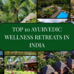Top 10 Ayurvedic Wellness Retreats in India