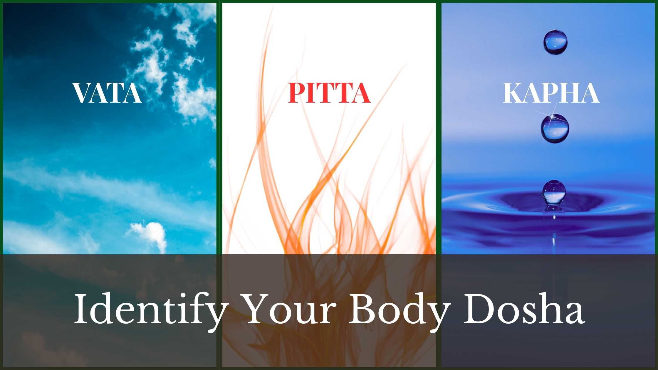 Ayurvedic Dosha (Prakriti) type